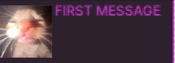 FirstTimeTest emote