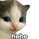 hehe emote