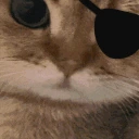 arr emote