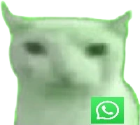 Whatsupbruhcat emote