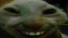 adhdd emote