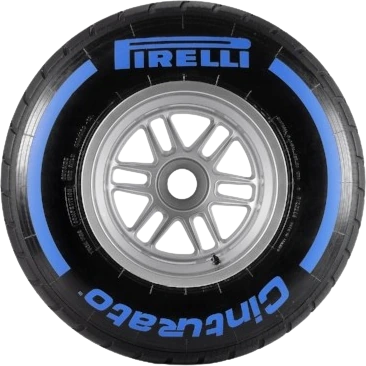 Wet_Tyre_F1 emote