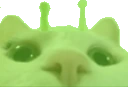 glorpLURK emote