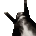 Jigglin emote