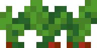 beetroots_stage2 emote