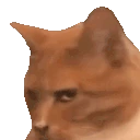 Meowing emote
