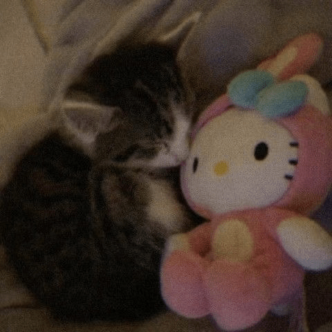 hellokittyandkitty static emote