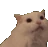 scream_cat emote