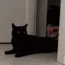 unYoink emote