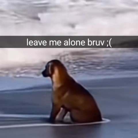 LeaveMeAloneBruv emote
