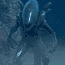 xenoPls emoji