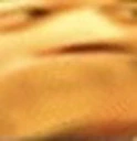 paus emote