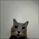 fokiu emote