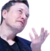 elonwtf emote