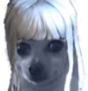 omegawkF emote
