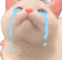 CatCri emote