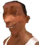 CJ_Bonk emote