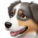 australianshepherd emote