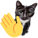 WAVEcat emote
