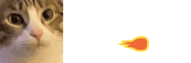 catFireball emote