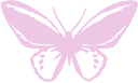 butterfly emote