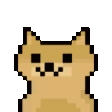 DogeZoom emote