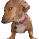 sideEye emote