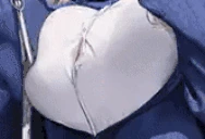 UNDERSTANDABLE emote