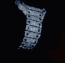iced_out_flex emote