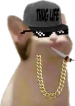 Sweg_popkitty emote