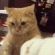 catAttack2 emote