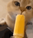 IceCream animated emote