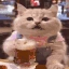 catbeer emote