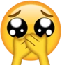 plead_cover emote