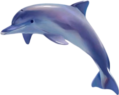 dolphin emote