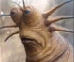 liveslugreaction emote