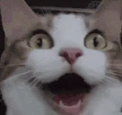 IveGoneCompletelyInsane emote
