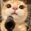 catGun emoji
