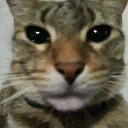 hijosdeputa emote