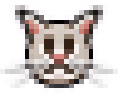 cat emote