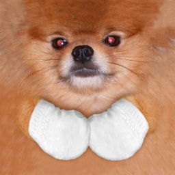 doggiisox avatar