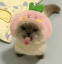 cutiepatootie emote