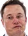 elonohwell emote