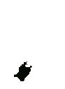 Bug emote