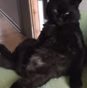 chilling emote
