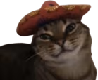 wey emote