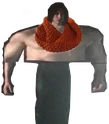 benswolocowl emote