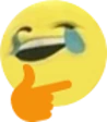 crythink emote