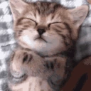 gnn emote