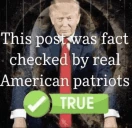 ThisPostWasFactCheckedByRealAmericanPatriots emote
